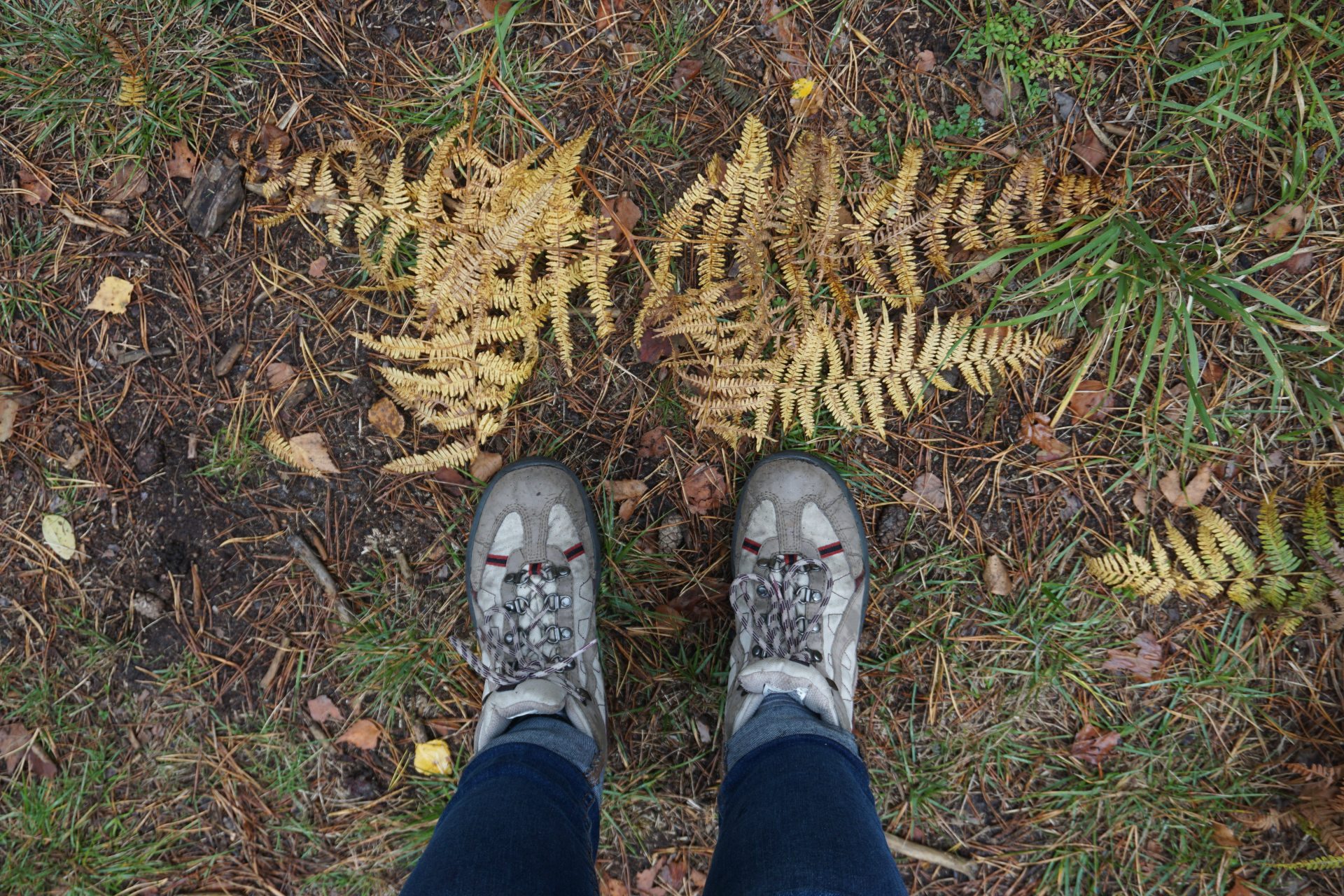 Chaussures randonnée