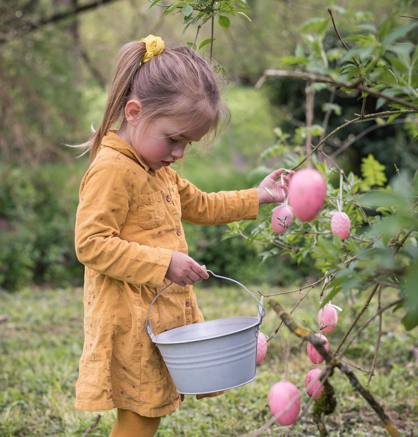 Chasse aux œufs Malowe nature